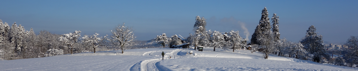 Paradisli, Febrary 2023